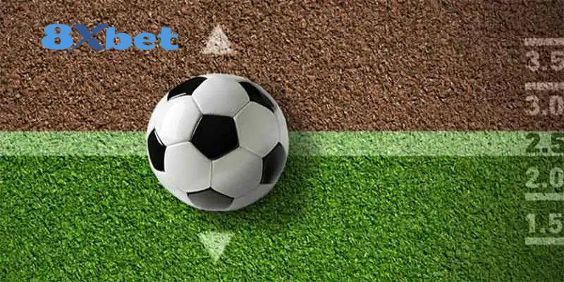 Sự Kiện Hoàn Trả Tiền Cược Thể Thao World Cup 2026 Không Giới Hạn Sự kiện hoàn trả với cách tính minh bạch